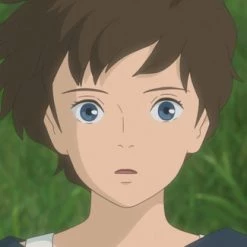 GKIDS When Marnie Was There DVD -DVD Sales Store 025192307355 anime When Marnie Was There DVD altC