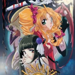 MEDIA BLASTERS Shamanic Princess DVD