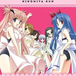 FUNIMATION/CRUNCHYROLL Good Luck! Ninomiya-kun DVD