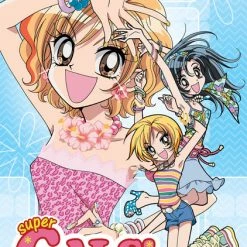 NOZOMI ENTERTAINMENT Super Gals! DVD Anime Elements