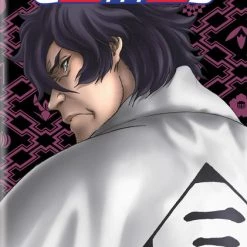 VIZ Bleach Set 12 DVD