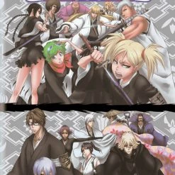 VIZ Bleach Set 14 DVD