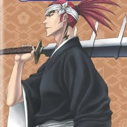 VIZ Bleach Set 16 DVD