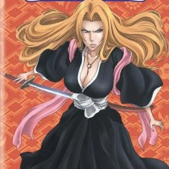VIZ Bleach Set 17 DVD
