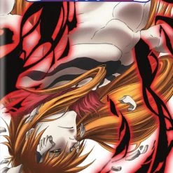 VIZ Bleach Set 18 DVD