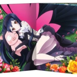 VIZ Accel World Set 1 DVD 5 VIZ Accel World Set 1 DVD -DVD Sales Store 782009242901 anime Accel World DVD Set 1 Hyb alt2