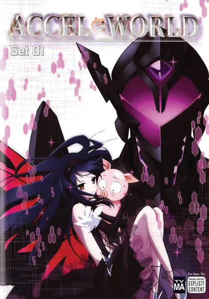 VIZ Accel World Set 1 DVD 1 VIZ Accel World Set 1 DVD