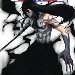 VIZ Bleach Set 22 DVD