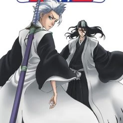 VIZ Bleach DVD Set 24