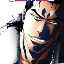 VIZ Bleach Set 25 DVD