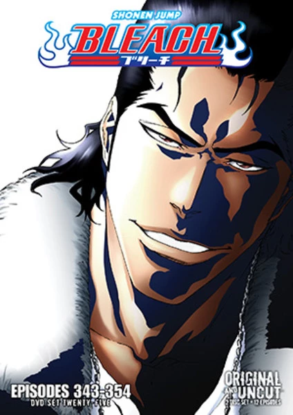 VIZ Bleach Set 25 DVD 1 VIZ Bleach Set 25 DVD