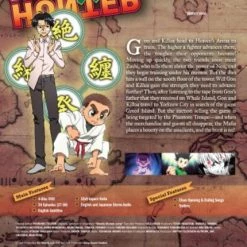 VIZ Hunter X Hunter Set 3 DVD -DVD Sales Store 782009244745 anime hunter x hunter set 3 dvd altB