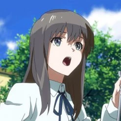 SENTAI FILMWORKS Wake Up, Girls! Movie DVD -DVD Sales Store 814131011084 anime wake up girls altB