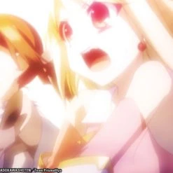 SENTAI FILMWORKS Fate/kaleid Liner Prisma Illya DVD -DVD Sales Store 814131013958 anime fate kaleid liner prisma llya dvd altE