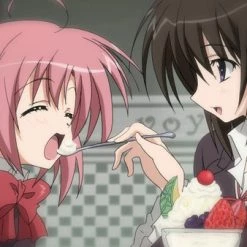 SENTAI FILMWORKS Student Council's Discretion Season 1 DVD -DVD Sales Store 814131013965 anime student councils discretion season 1 altE