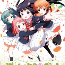 SENTAI FILMWORKS Wakaba Girl DVD