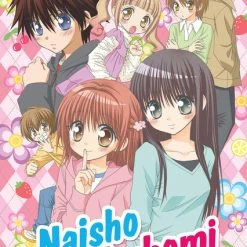 SENTAI FILMWORKS Naisho No Tsubomi DVD