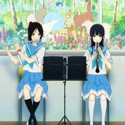 SHOUT FACTORY Liz And The Blue Bird DVD