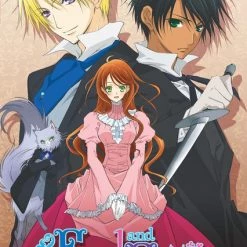 DISCOTEK Earl And Fairy DVD