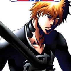 VIZ [Imperfect] Bleach Set 26 DVD